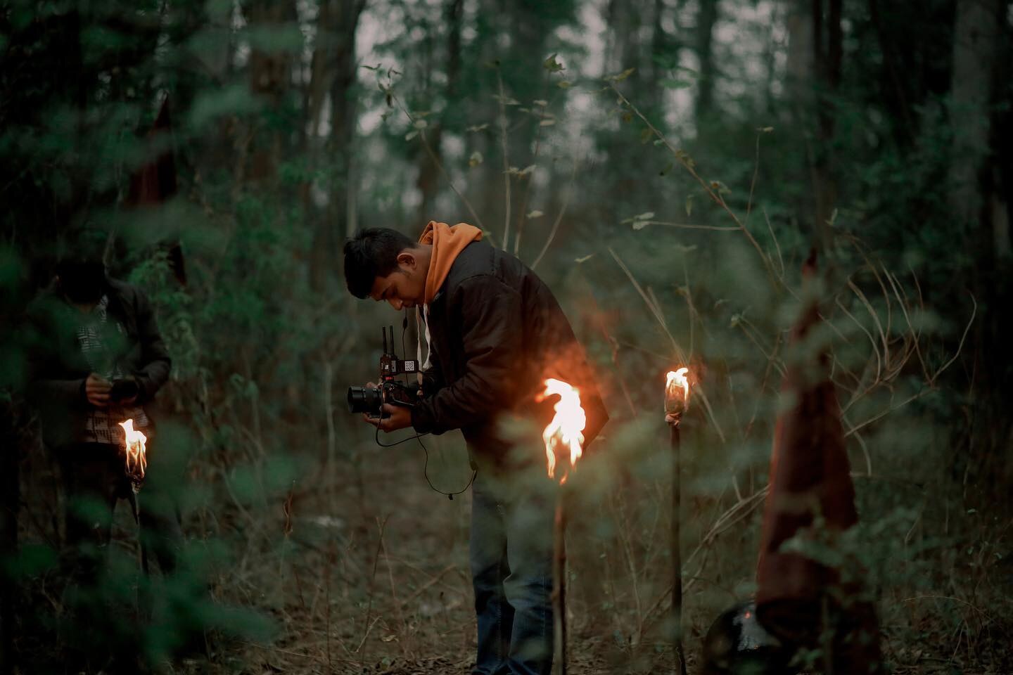 After Dark · Forest Production — frame 7 of 10