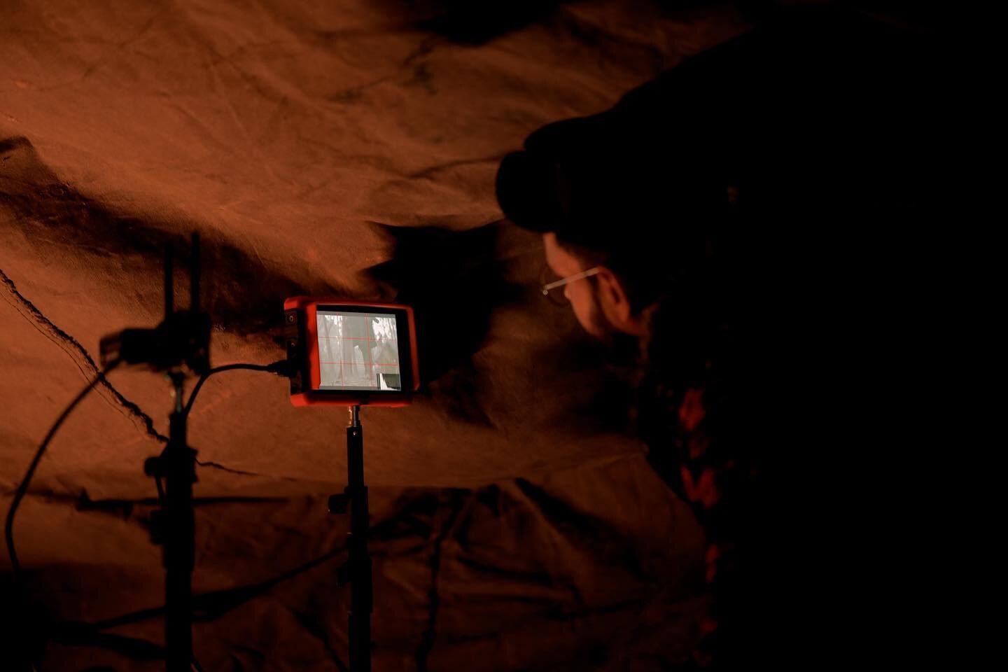 After Dark · Forest Production — frame 9 of 10