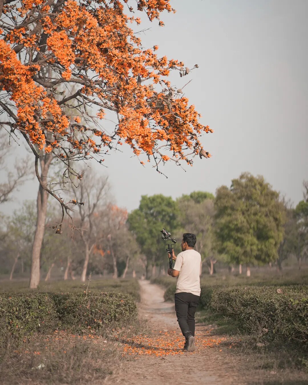 Saans Bharlu · Camera Department — frame 2 of 3